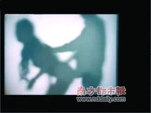 国产又黄又免费的视频,探索本土影视新风尚